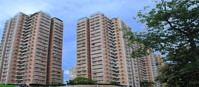 "Sweet and Harmony in city garden"