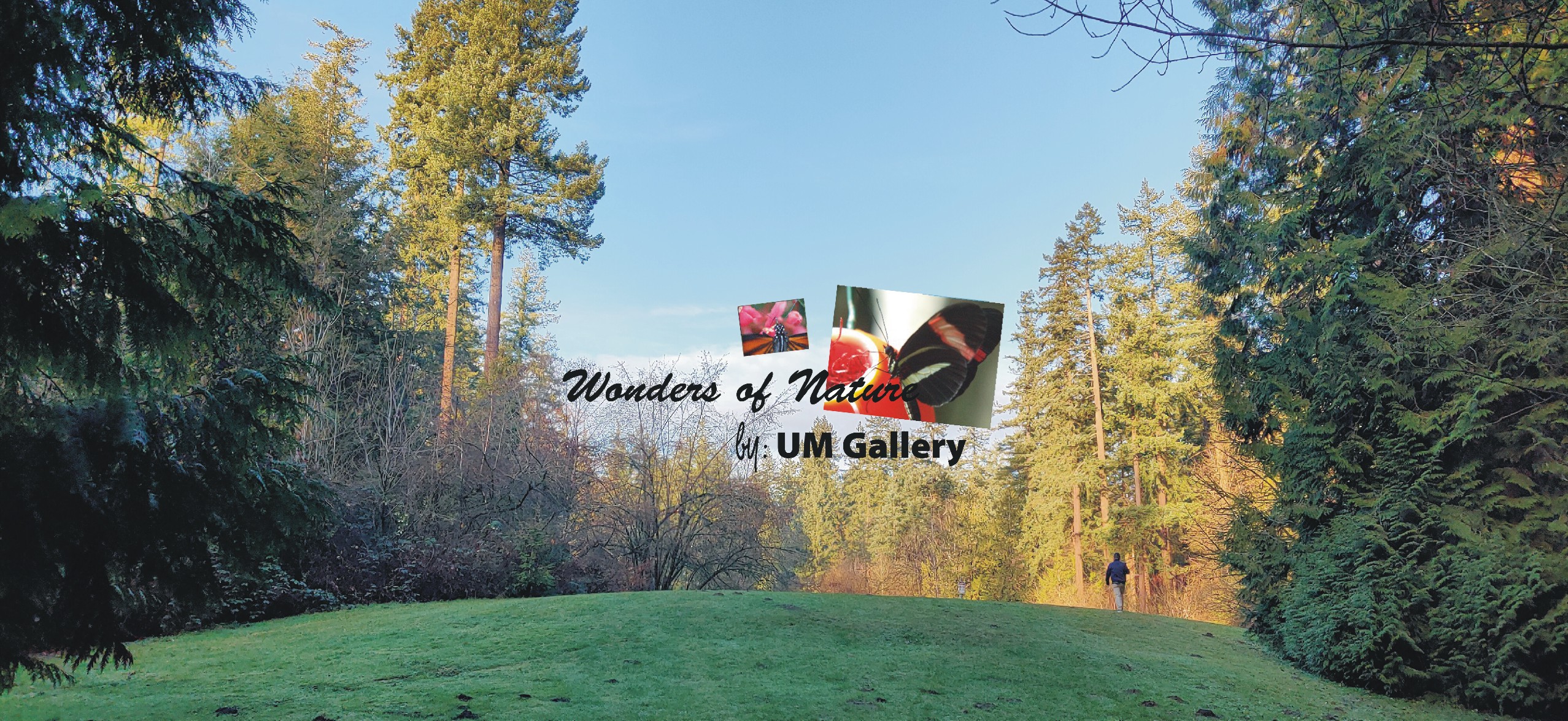 natural wonders natural wonders